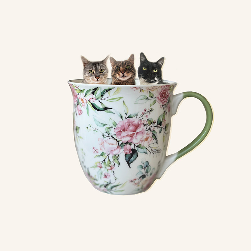 Tea with Cats