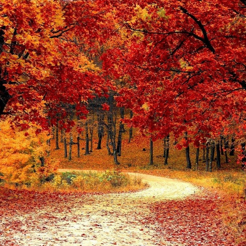 Guitar Soft Playlist