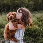 Little Loves