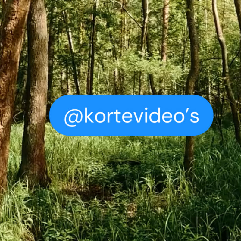 KORTE VIDEO'S