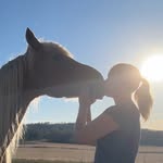 Ida • KCK Morgan horses 🇸🇪