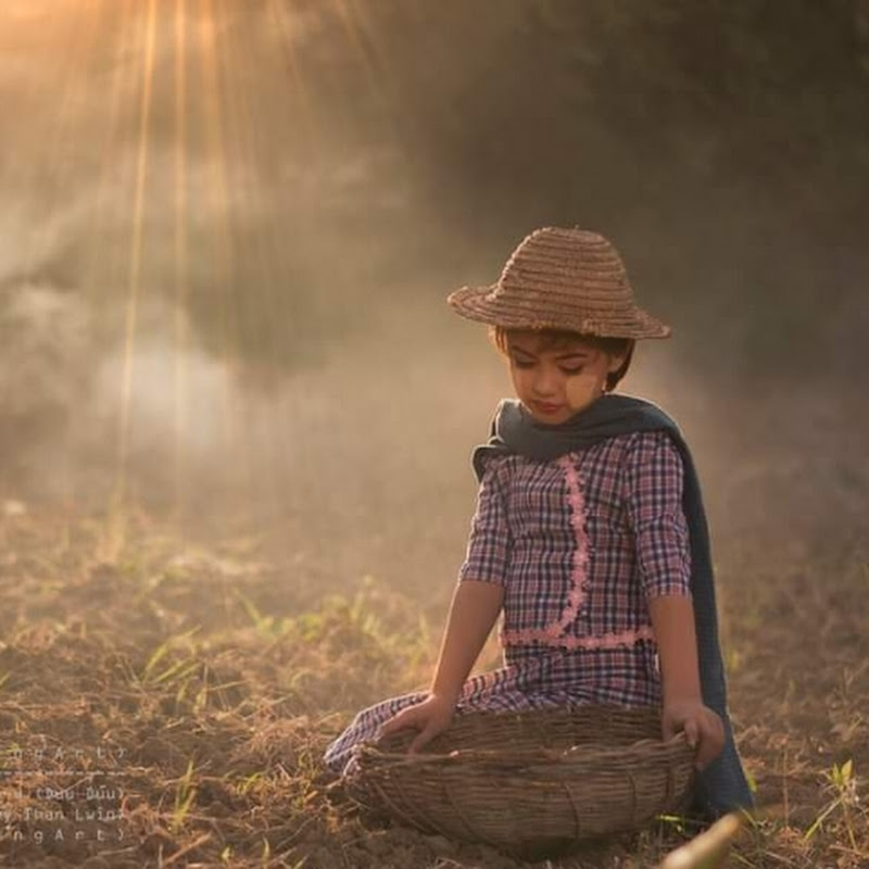 Burmese Kyaw Gyi