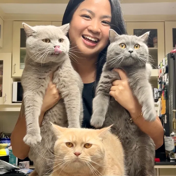 juju, luca, kali, and domo
