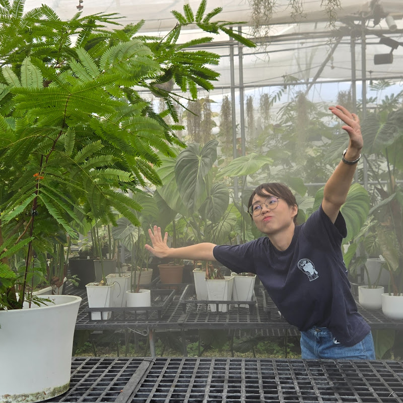 木木林子