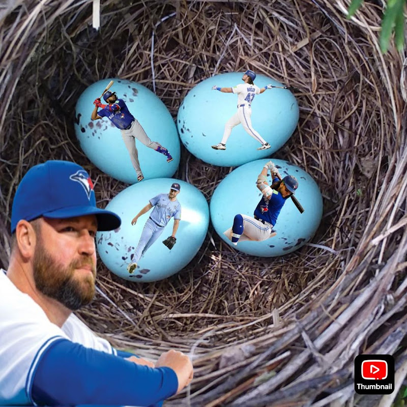 The Jays Nest