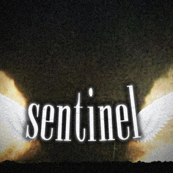 🕷️🇵🇸 sentinel 🇮🇶🌪️