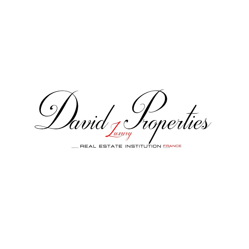 David Luxury Properties 
