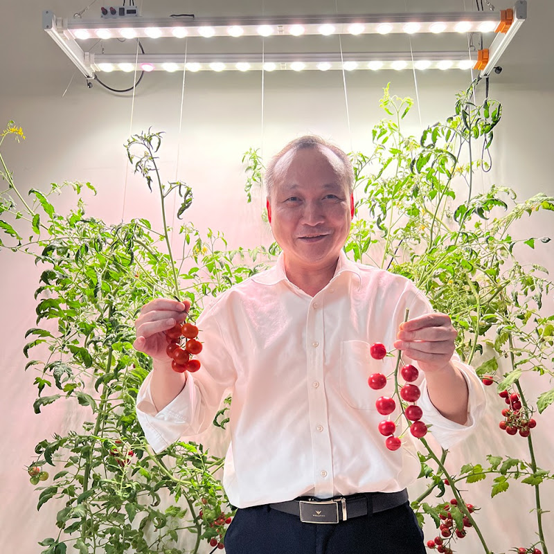 Koray Grow Light