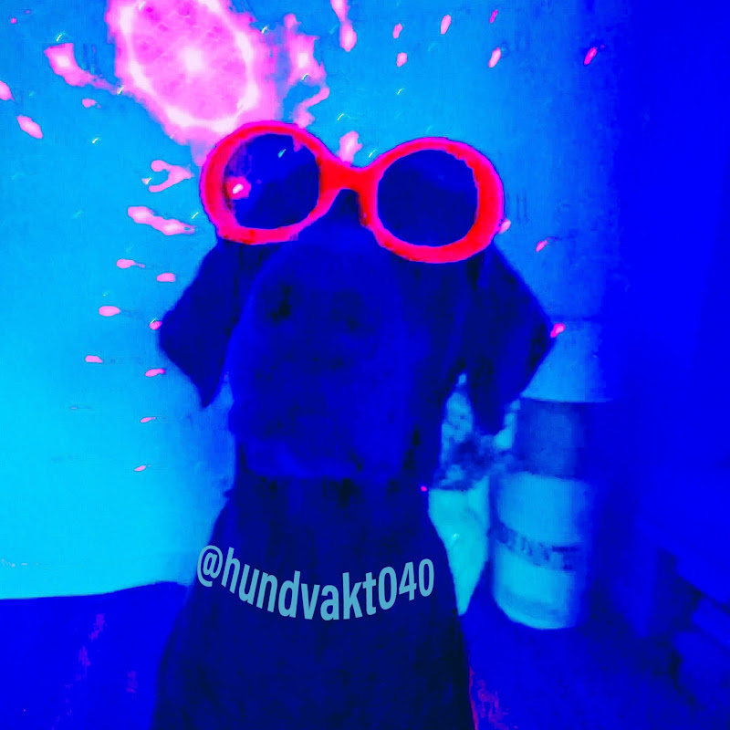 hundvakt040
