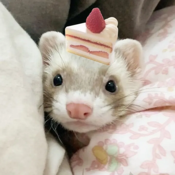 ˗ˏˋ★• Tay/Tajo •★ ́ˎ˗