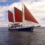 Samba Galapagos Islands