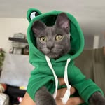 Mito 🐈‍⬛