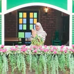 Afifah🍉Shaifuddin | Blogger | Content Creator