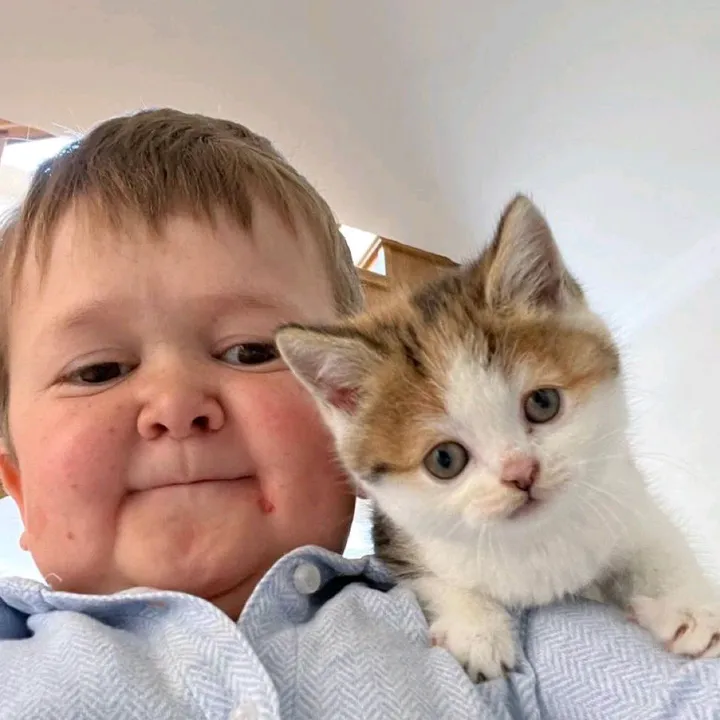 $BARSIK | Hasbulla’s Cat