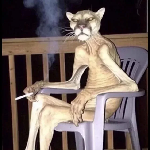 7\