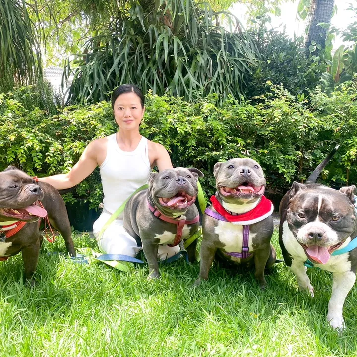 Keeping up with the bullies