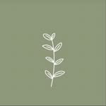 َأريج جاسم🍃