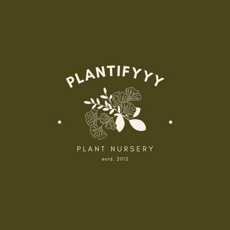 Plantify by S
