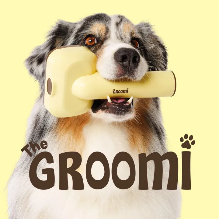 The GROOMI™