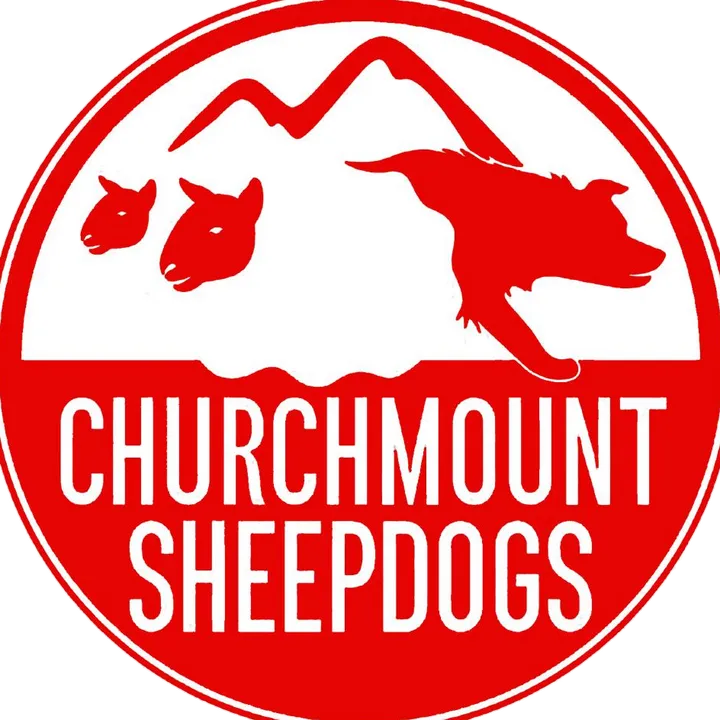 Churchmount sheepdogs