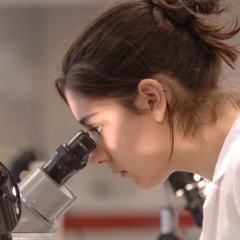 Microscopes