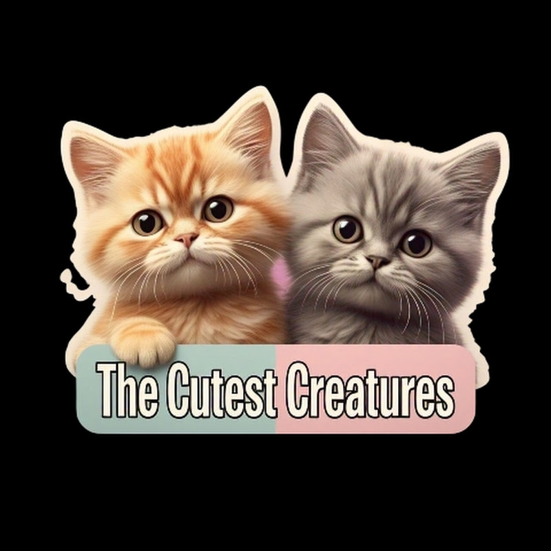 The Cutest Creatures (TCC)