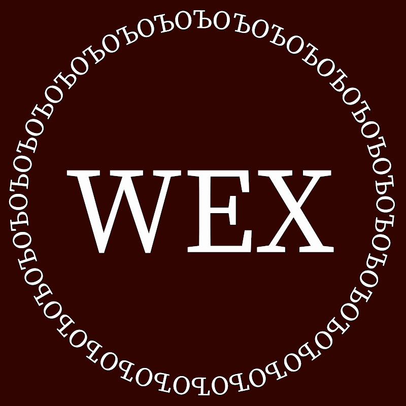 WEX Cover Dance Team 