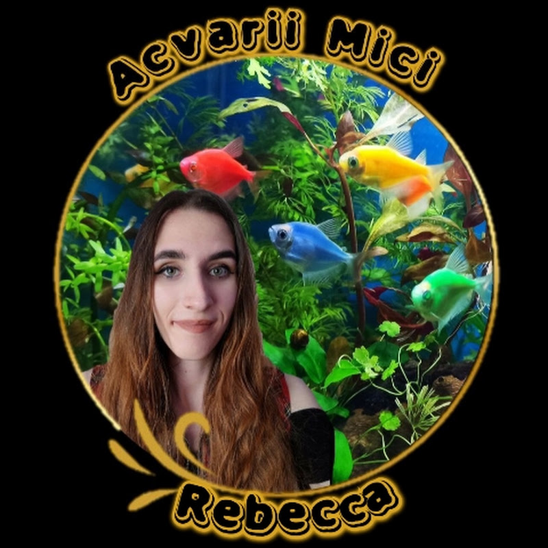 Acvarii Mici - Rebecca