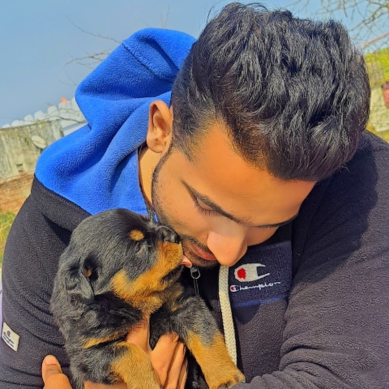 Hemantsharma000