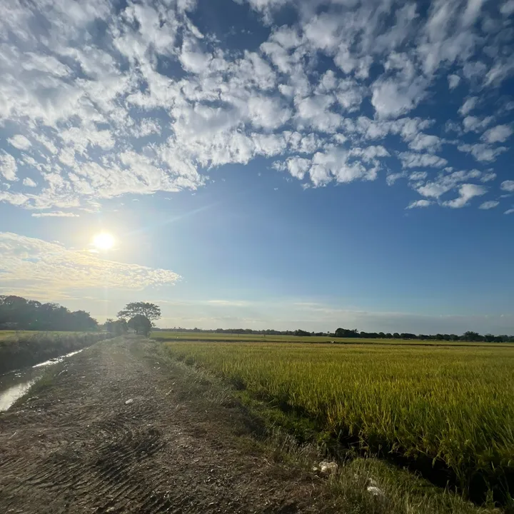 probinsya