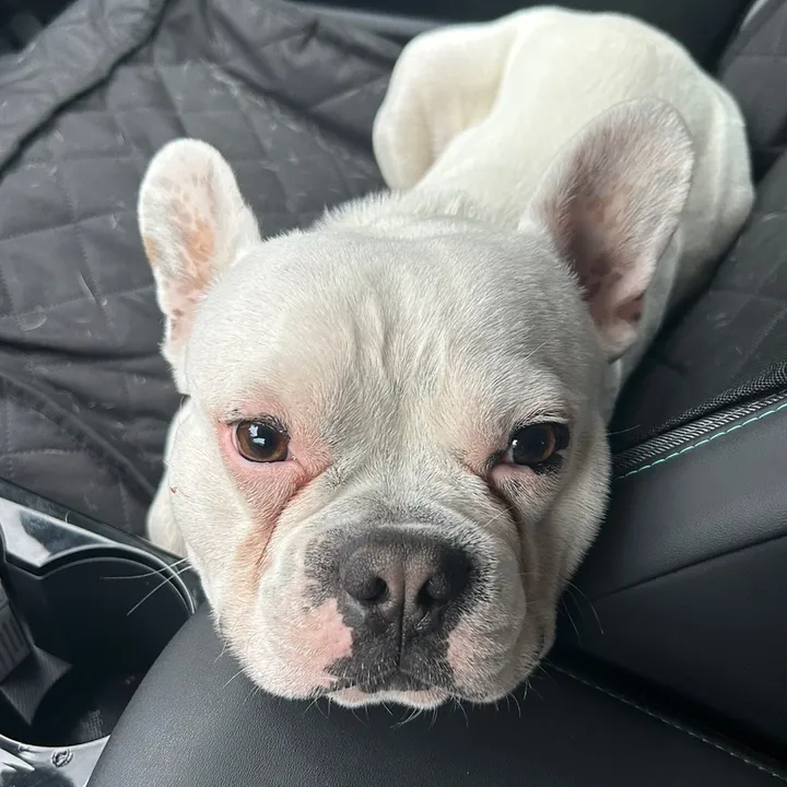 ✝️Antoine04✝️