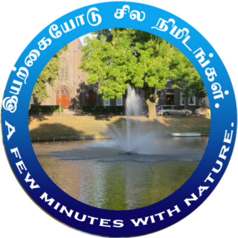 A few minutes with nature