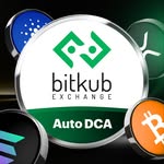 Bitkub.com