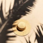 ❝  𝐅 𝐋 𝐎 𝐑 𝐀