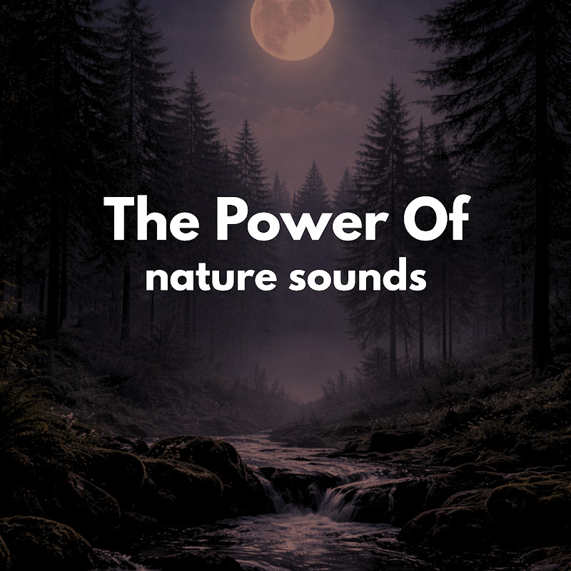 The Power Of Nature Sounds