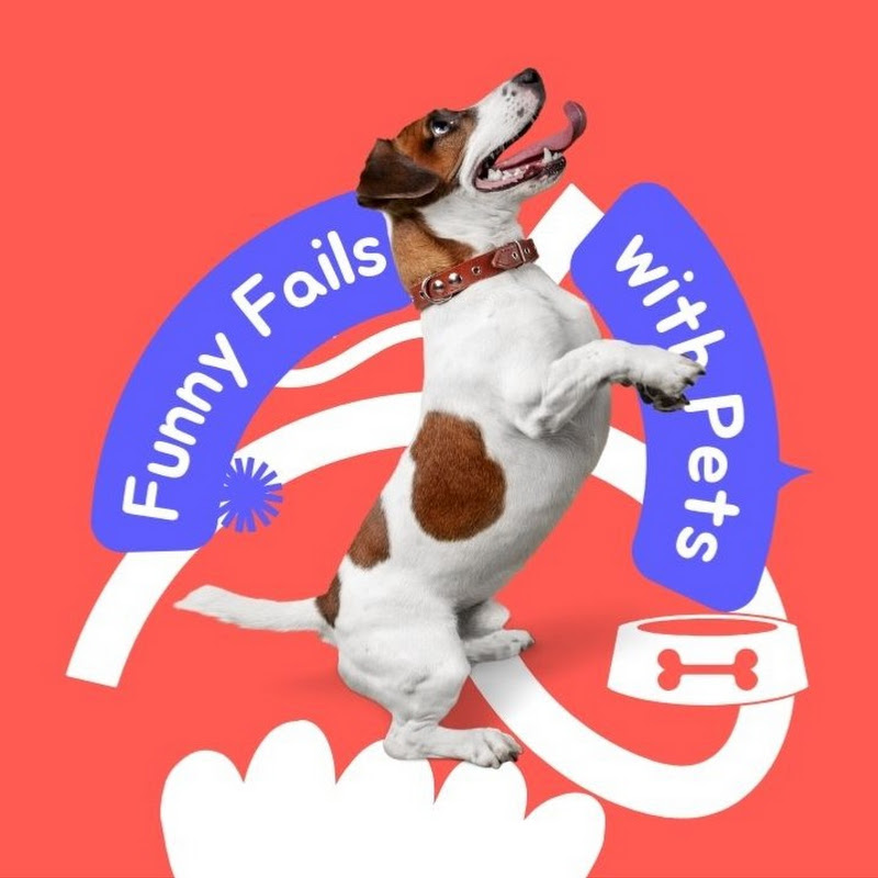 Funny Fails with animals and pets