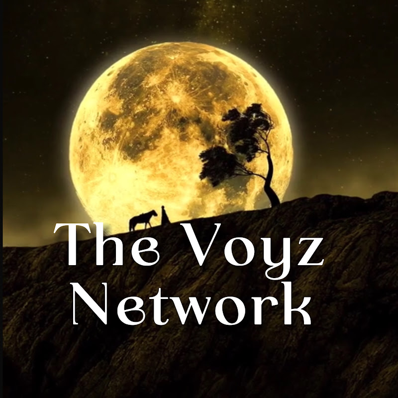 The Voyz Network