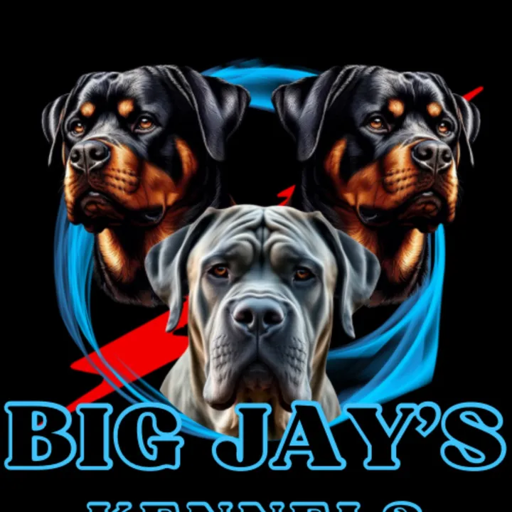 Big Jay’s Kennels