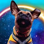 Prada De vil 🐾👑