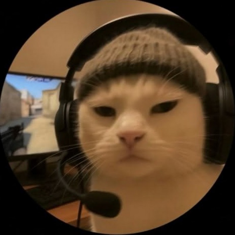 Syzify
