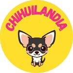 Chihuilandia Perú | Comunidad de chihuahuas