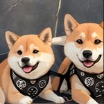 Kiba and Kumi