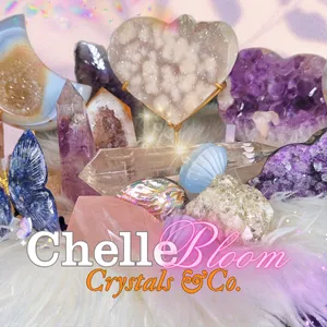 chelle.bloom