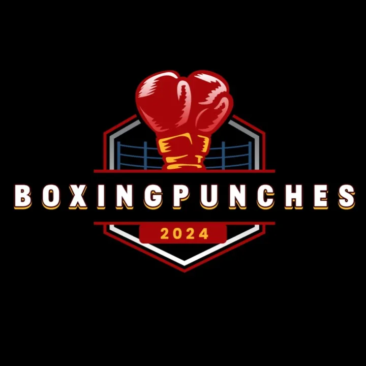 BoxingPunches