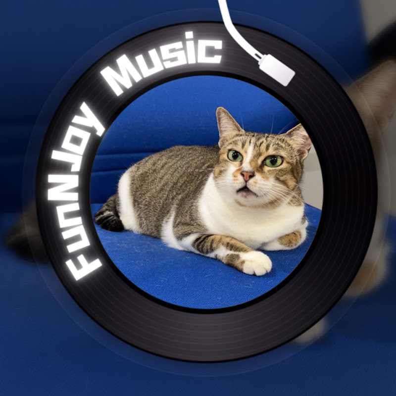 FunNJoyMusic