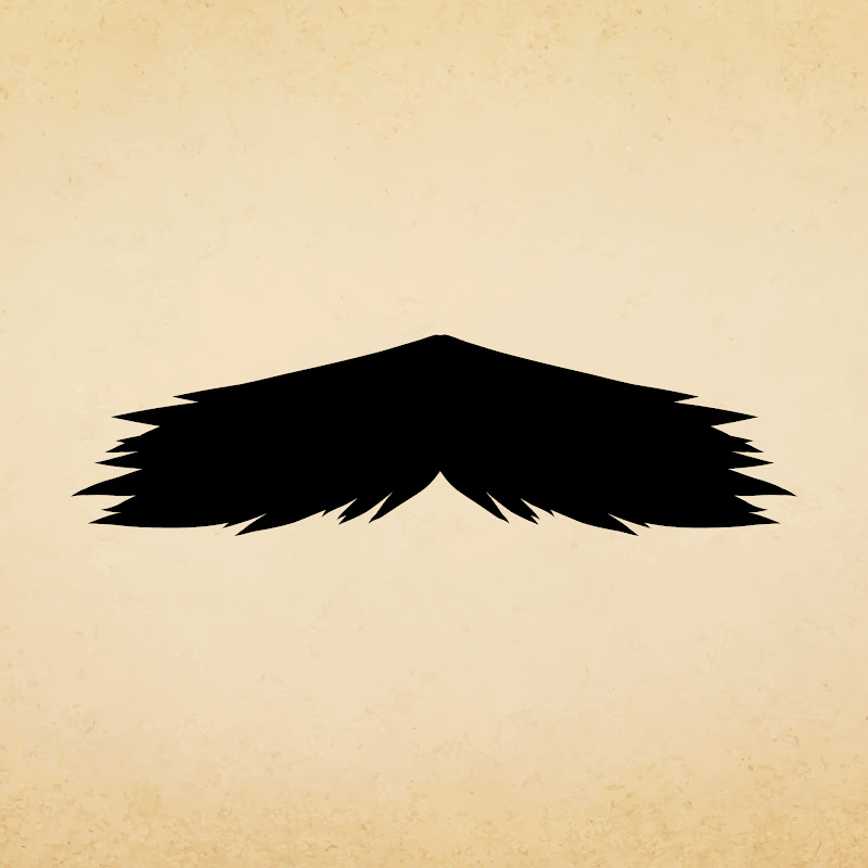 The Stache Chronicles
