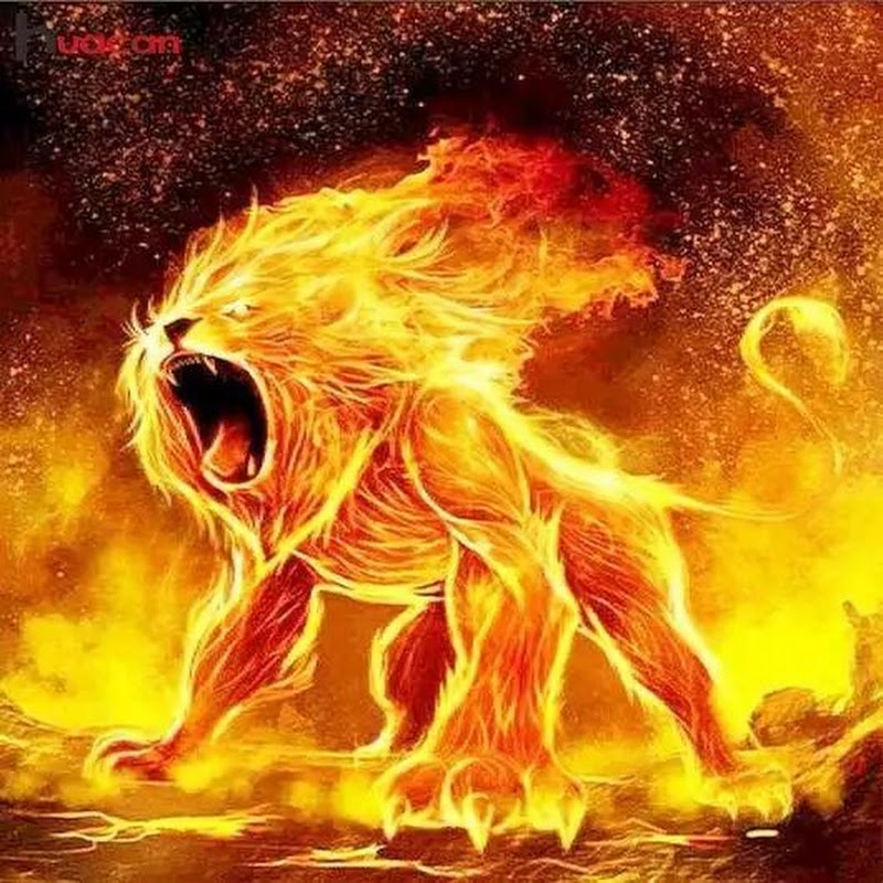 Roar Like A Beast