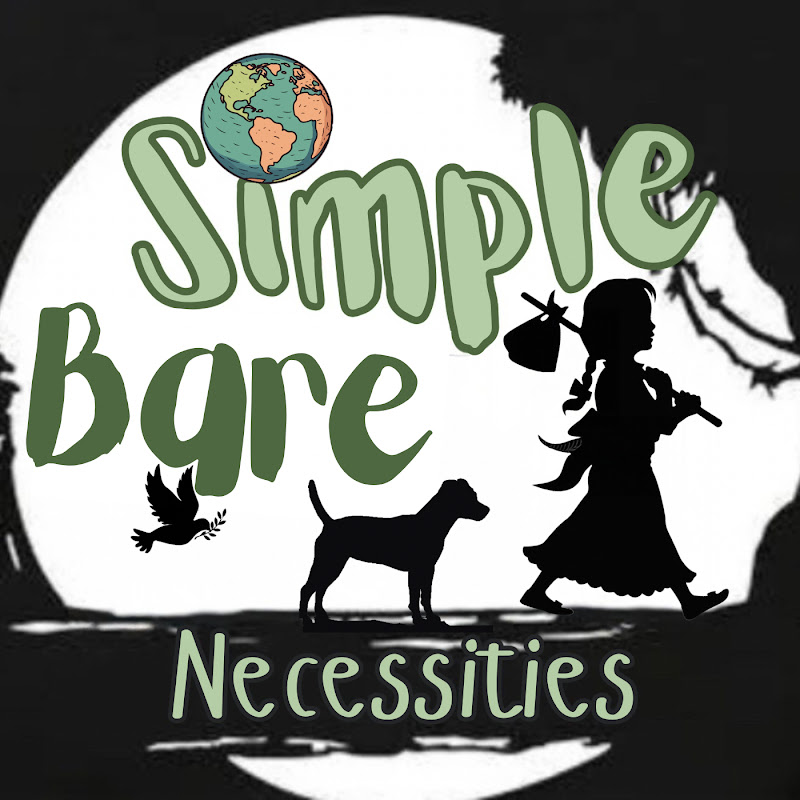 BARE NECESSITIES TRAVEL