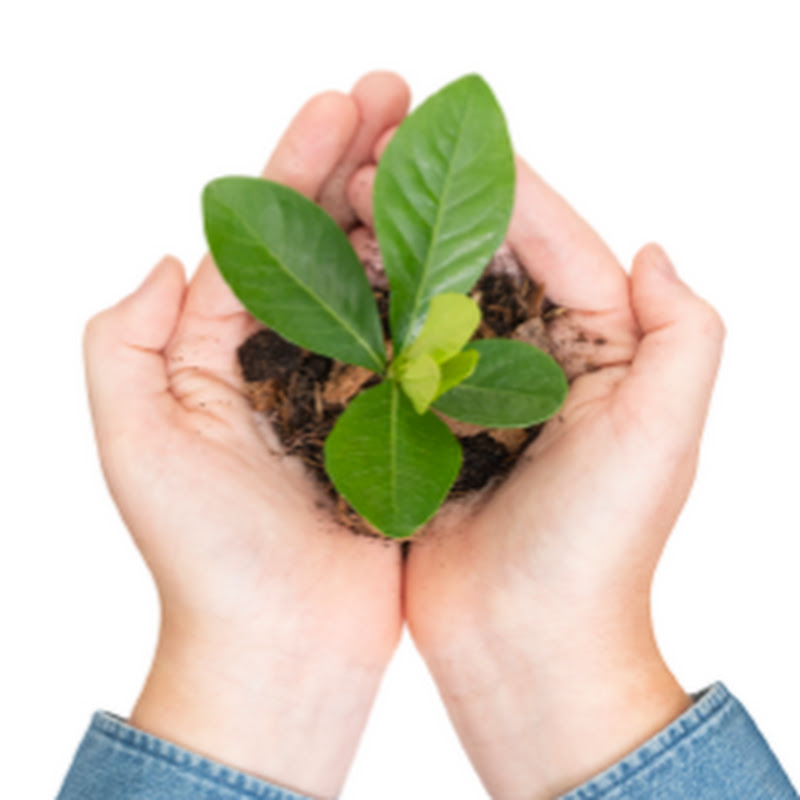 Grow Well