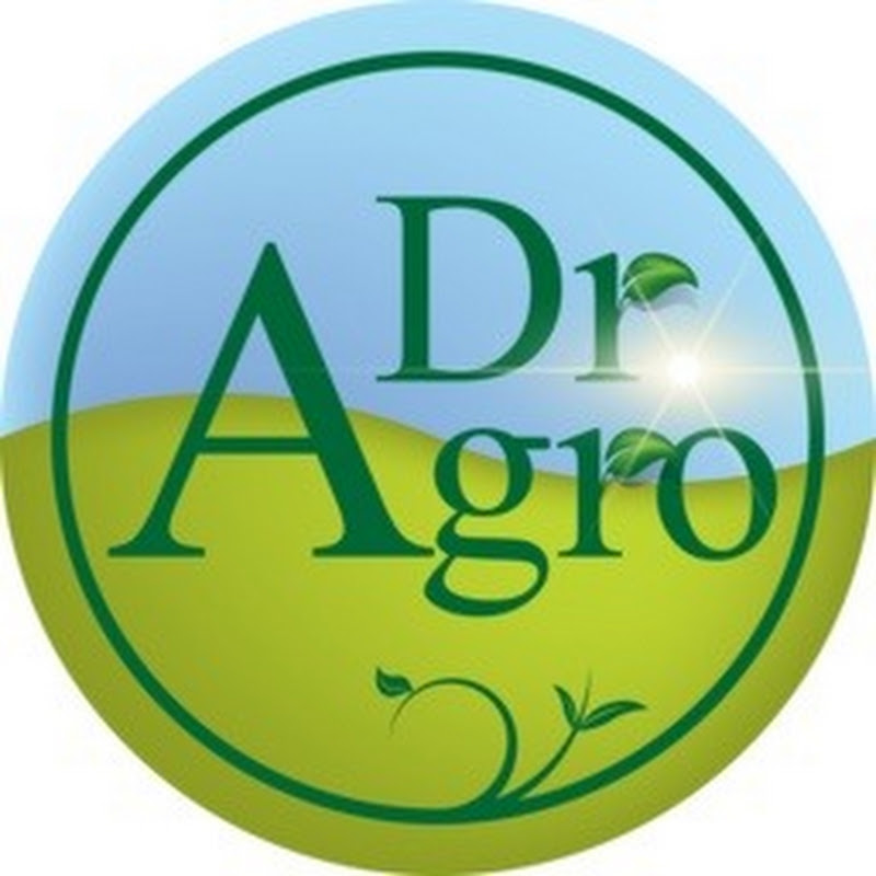 Stanley Kong